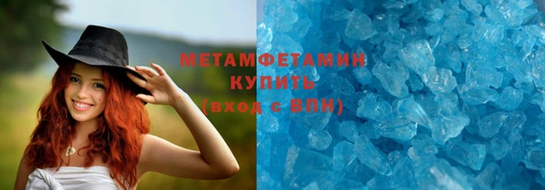 индика Волосово