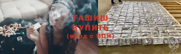 индика Волосово