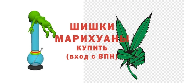 индика Волосово