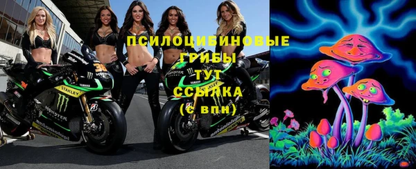 экстази Бородино