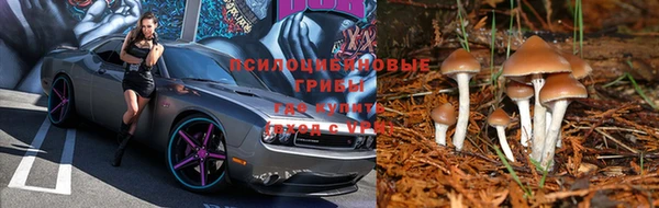 прущая мука Володарск