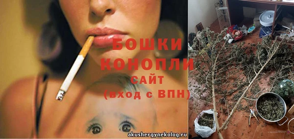 экстази Бородино