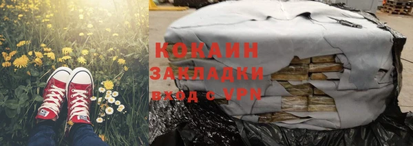 индика Волосово