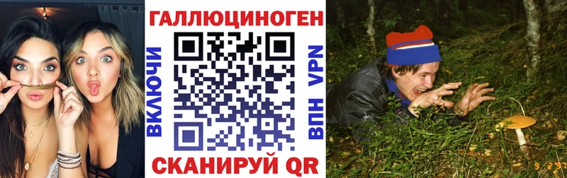 где можно купить   Кстово  Псилоцибиновые грибы мухоморы 