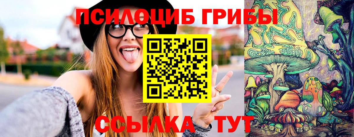 где продают наркотики  Псилоцибиновые грибы GOLDEN TEACHER  Вход с VPN  Кстово  Галлюциногенные грибы Magic Shrooms 