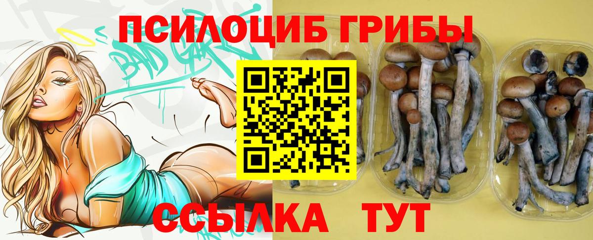 Галлюциногенные грибы Cubensis Кстово